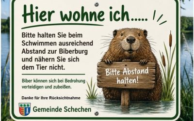 Biber beißt Schwimmer im Waldsee