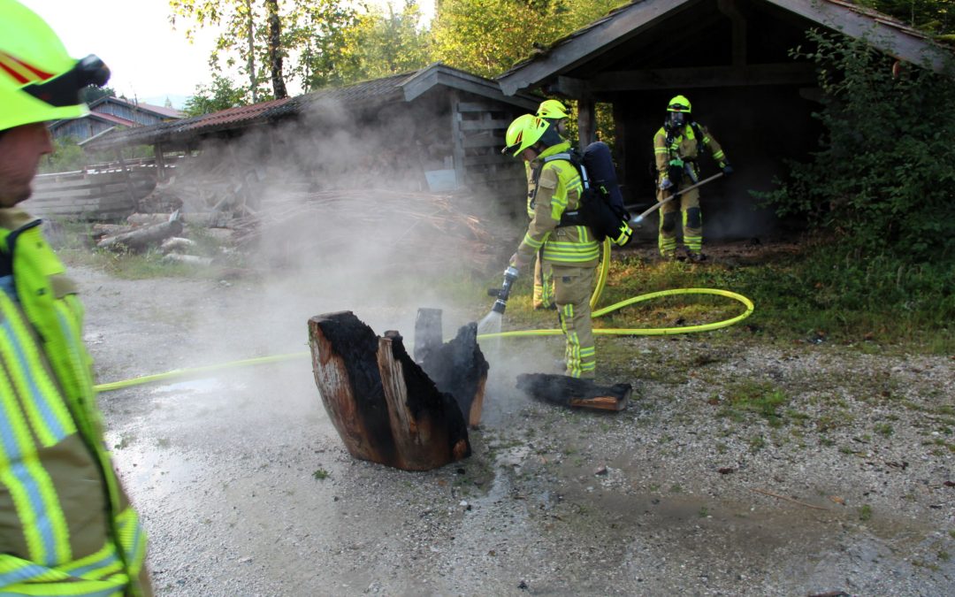 Brennender Baumstumpf ruft Feuerwehr auf den Plan