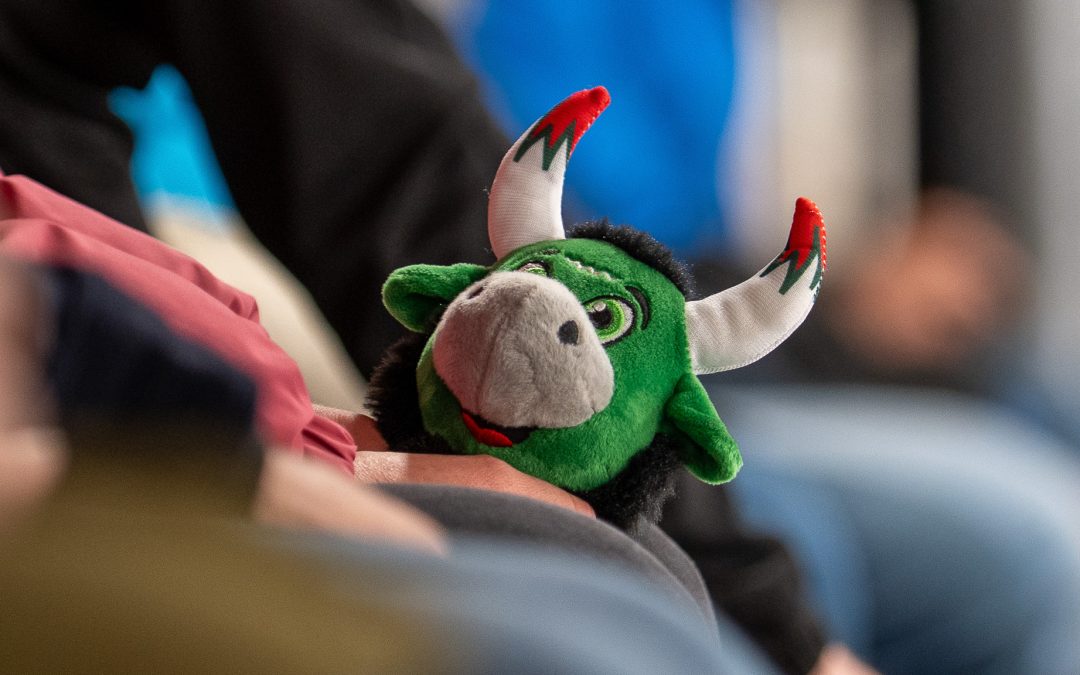 Starbulls führen Familientickets für DEL2-Heimspiele ein