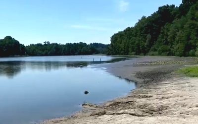 Rinser See wird zum Schlammbad – warum fehlt so viel Wasser?