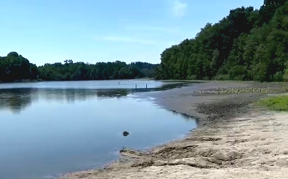 Rinser See wird zum Schlammbad – warum fehlt so viel Wasser?