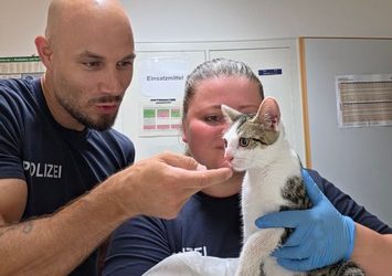 Katze in Transportbox am Bahnhof Bamberg ausgesetzt