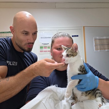 Katze in Transportbox am Bahnhof Bamberg ausgesetzt