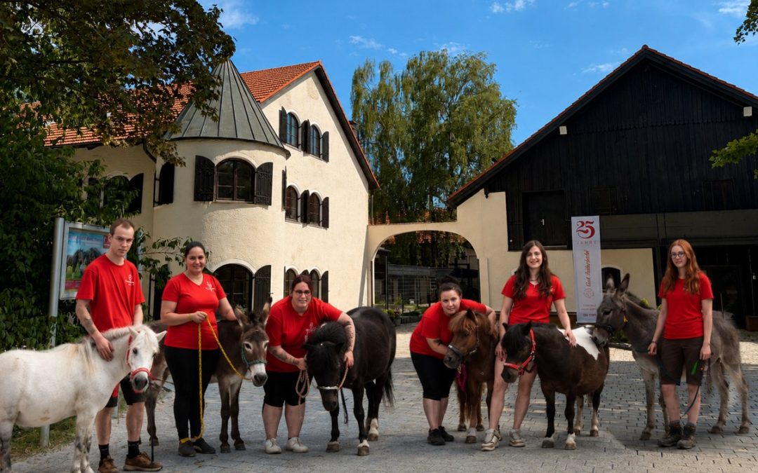 Tag der offenen Tür: Neuer Sternenhof in Pocking lädt Besucher ein