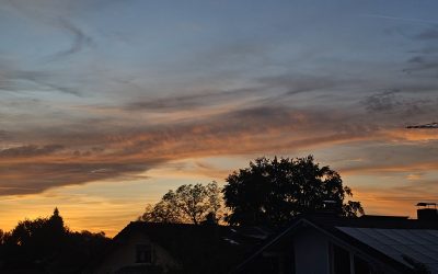 MorgenINNPULS â Schon gewusst?