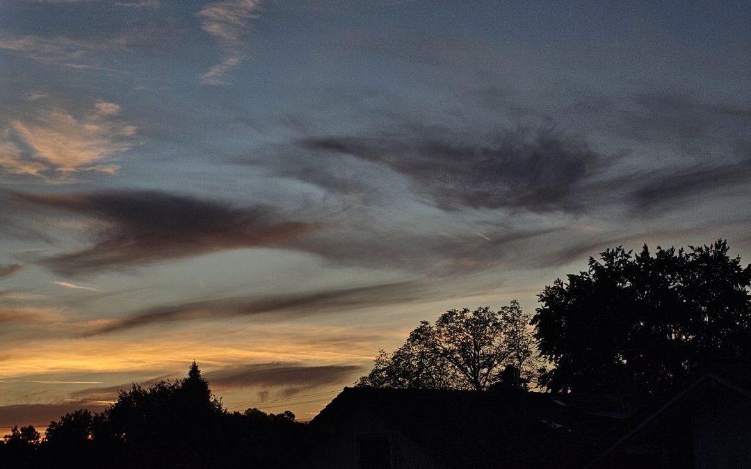 MorgenINNPULS – Schon gewusst?