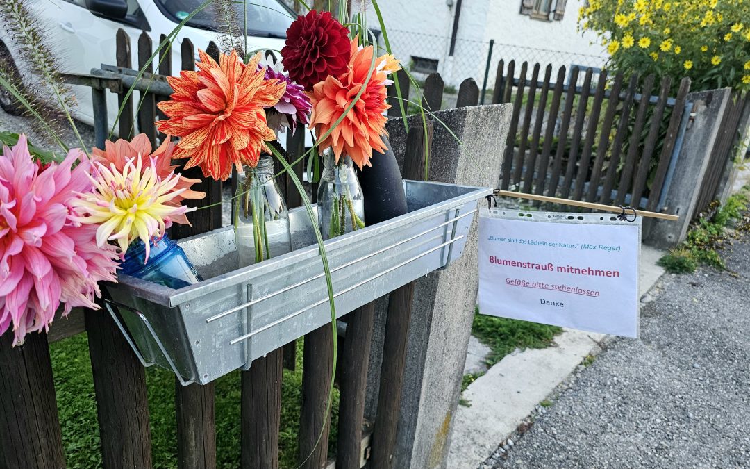 Das Lächeln der Natur an einem Gartenzaun in der Kastenau