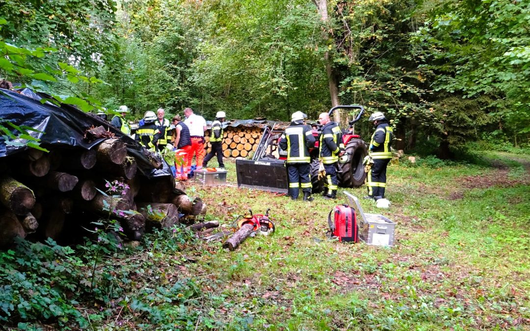 Waldarbeiter zwischen Baumstämmen eingeklemmt – Feuerwehr befreit ihn