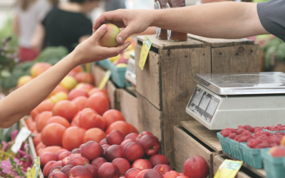 Bauernmarktmeile in München: Mehr als 100 Direktvermarkter aus Bayern