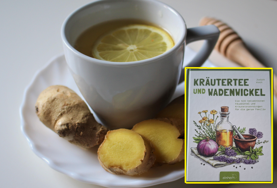 Buchtipp: „Kräutertee und Wadenwickel“ – Altes Wissen für die Hausapotheke