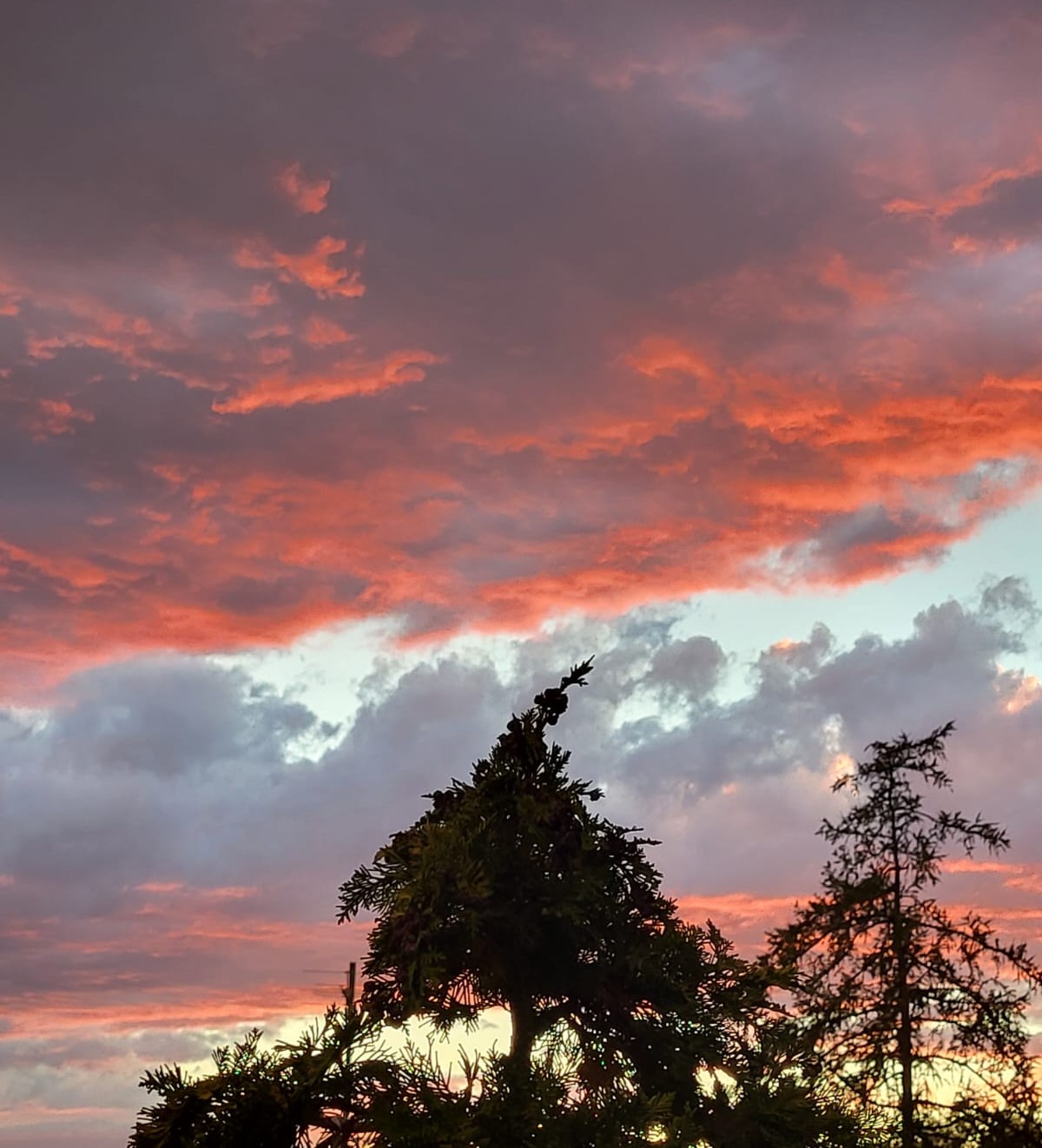 IMG-20260831-WA0005 Feuriger Wolkenschauspiel am letzten meteorologischen Sommerabend 2026. Foto: re