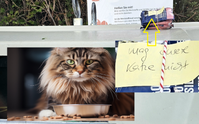 „Mag unsere Katze nicht“ – Wenn Katzen über Lebensmittelverschwendung entscheiden