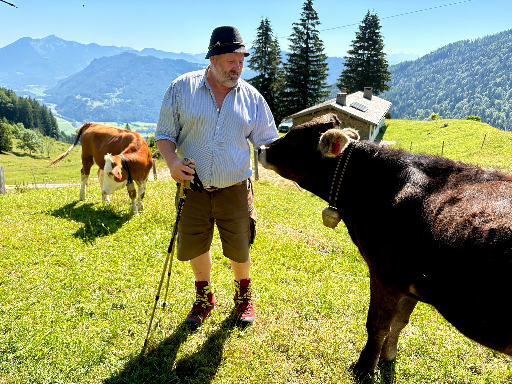 0c74fc2c-abcb-4285-a632-0576b26e971a Vom Amtstisch auf die Alm. Sepp Loferer war Bürgermeister und ist jetzt Senner - und das mit Begeisterung. Fotos: Copyright Molkerei Berchtesgadener Land