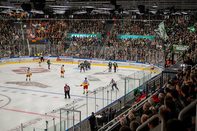 DEL 2 - Starbulls Rosenheim gegen Düsseldorfer EG Die Starbulls Rosenheim mussten sich am Freitagabend vor 4.016 Zuschauern der Düsseldorfer EG geschlagen geben. Foto: Ludwig Schirmer