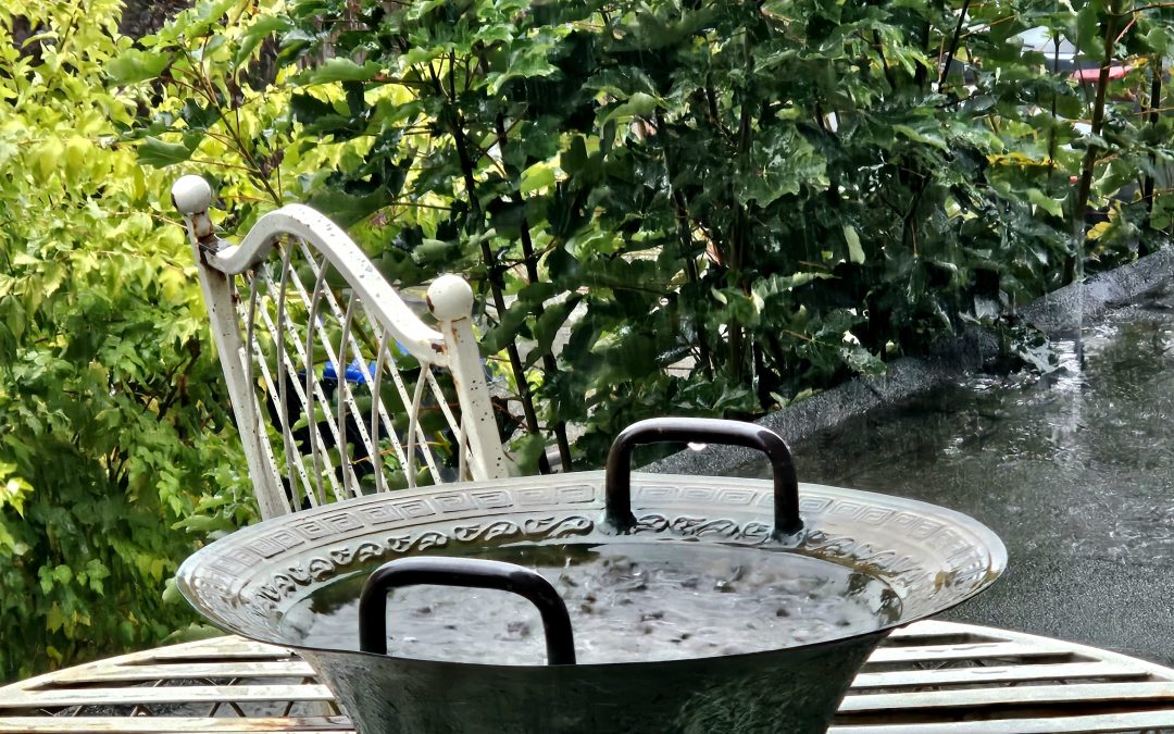 MorgenINNPULS – Schon gewusst?