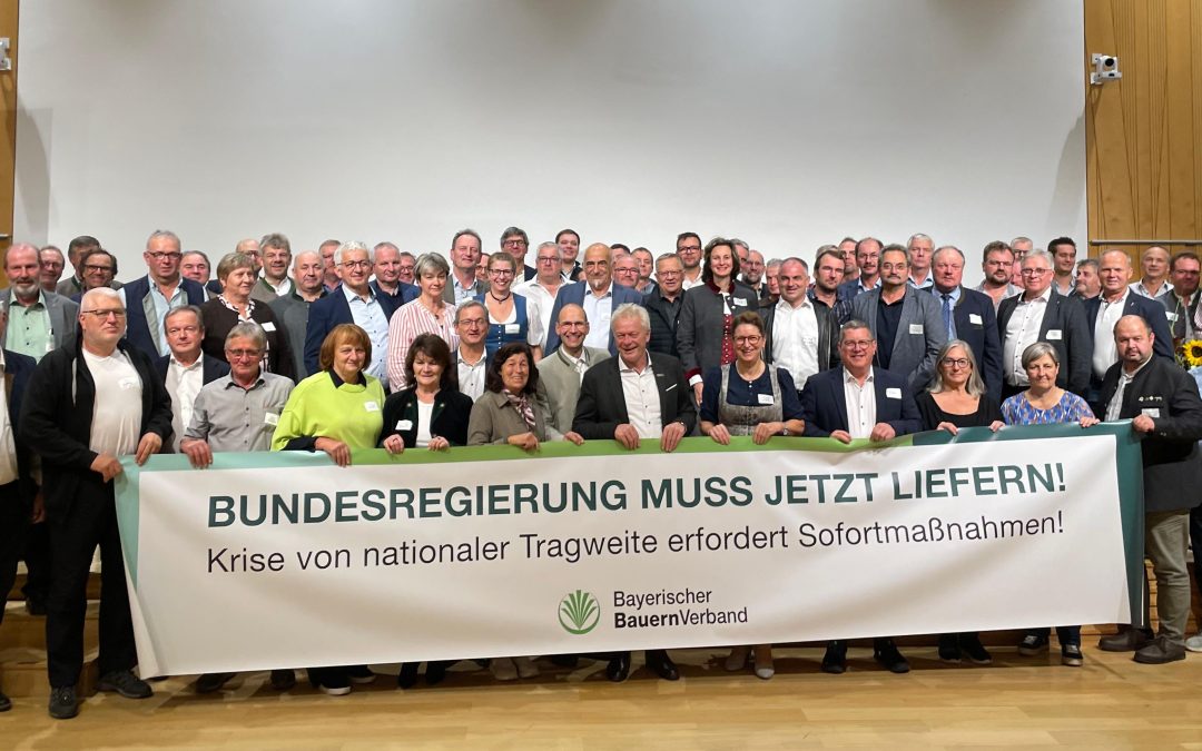 Bauernverband fordert schnelle Hilfen für landwirtschaftliche Familienbetriebe