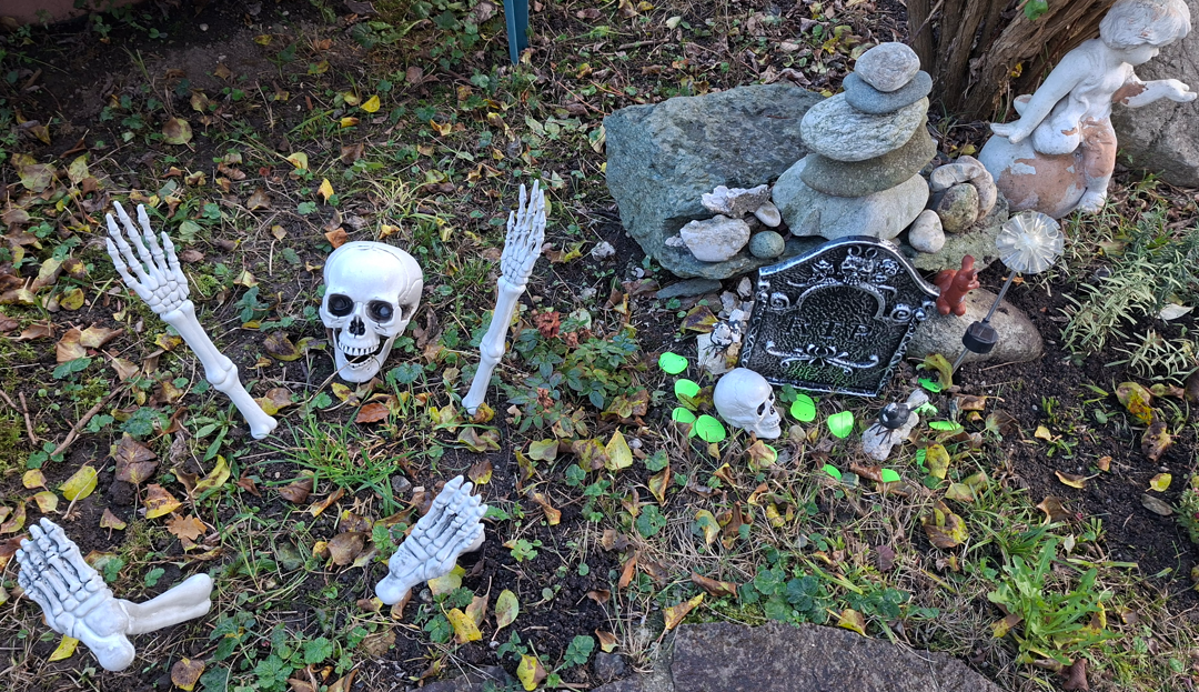 Halloween in Rosenheim: Kürbisse willkommen – oder gehört das gar nicht zu uns?