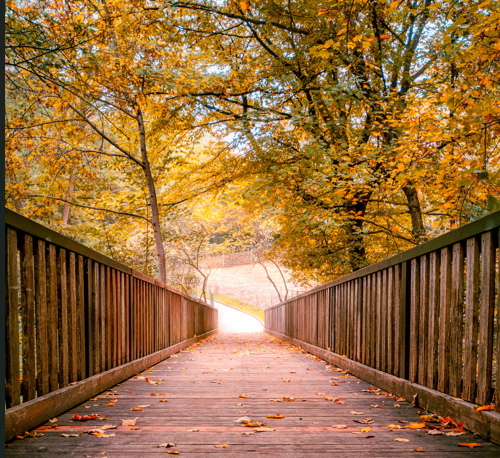 Herbstferien in Bayern: Neun Tage schulfrei ab dem 31. Oktober