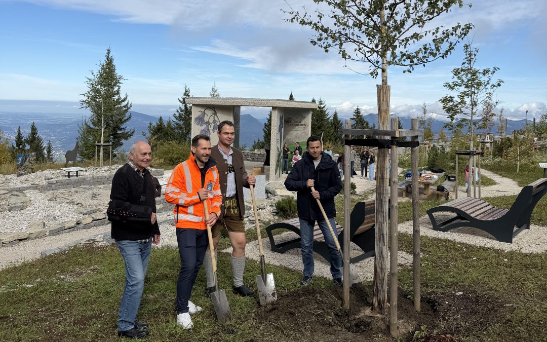 Wo früher Autos parkten, wächst jetzt alpine Natur: Neuer Garten an der Rossfeldstraße