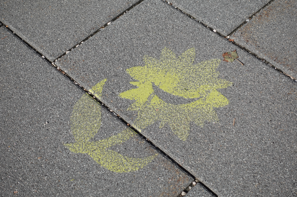 Landesgartenschau-Blumenstempel Blumenstempel im Asphalt aus Zeiten der Rosenheimer Landesgartenschau. Foto: Josefa Staudhammer